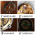 ゴッホは、スイスのブラドの全自動透か彫刻の機械の時計の男の時計の抜粋したシリズの夜光防水のファンビオの入力名表に載せています。