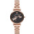 オーストリア・マイニ（Empro Ammani）満天星腕時計女性スィーベル・ビルビルビル百掛フ・ロベルト女史ク腕時計春夏新型AR 11206