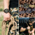 ジホープ（JEEP）腕時計牧馬人シリズの超大型文字盤男性用防水軍表アウトアスポスポーツ多機能小三針カレンダイムJP 15203