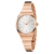 CKカルバークレン腕時計supremeシリズ女子表銀白盤バラ金鋼帯クウォークククK 23646