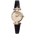 ヴィヴィヴィック・ウェルスト腕時計の精巧さでレトロなゴールドメック女子時計BFV 090 GDBK