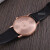 アルマニル（Empro Ammani）女性腕時計カプリ2019年新品の豚年限定オマティック商品、ピアベル80022数量限定で入手しました。
