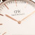 ダニエレ・ウェルトリDW女子時計クウォーク腕時計36 mm金色皿ブラクターベトリング学生腕時計DW 0000259