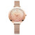 リアニア（PIRE LANIR）腕時計女史クウォーク腕時計スワロフスキー天満星ドレフ防水女子時計