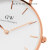 ダニエレンDW腕時計オーストリア28 mmホワデリック金属女子時計DW 0000219+トラストナイト