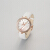 SWAROVKIスワロフスキーAila Dressy Lady Swan腕時計彼女にバゴゴルード5376639
