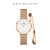 【DWフルセット】DanielWellington baren Tainde限定のスペシャルプロシュート女性时计32文字盘DW 0000+36レコード