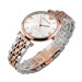 アルマティック腕時計欧米钢帯カレンクウォークク腕時計ビネ男性女性カープ腕時計ペアラ1677+AR 1683