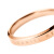 ダニエレル・ウェルレンのバレゴルードの指輪のアリーです。男女の指輪のサズは12（中国サイズ）DW 0040018です。