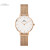 ダニエル・ウェントンdw腕時計男性用腕時計女性フューチャー腕時計DW 0019+DW 0000363