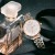 Emporio Armmani腕時計女性の満天の星の鉄帯の星空にダイヤモンドを入れた新型ビジネスカジュアルファッションローズゴールド腕時計ネットの赤いバラ金AR 1926【12期無料】