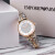 アルマニニ腕時計女性(Emporo Ammani)満天星腕時計クウォーウォートオミ流行軽豪華ギフトセト80035(満天星帯ピアス)